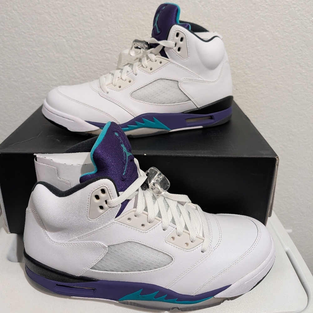 Jordan 5 Retro Grape (2013) Near DS